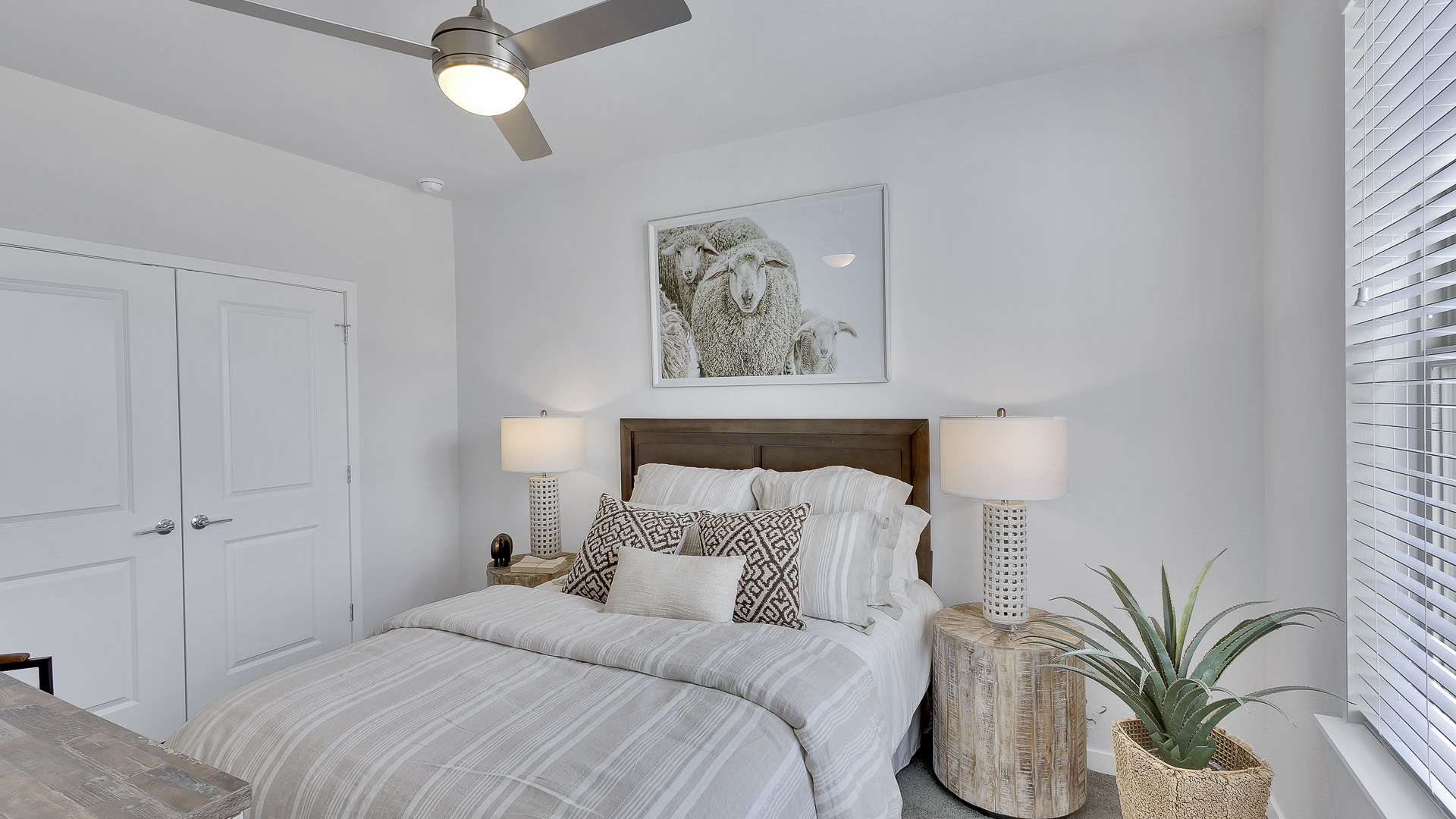 Bright bedroom with ceiling fan